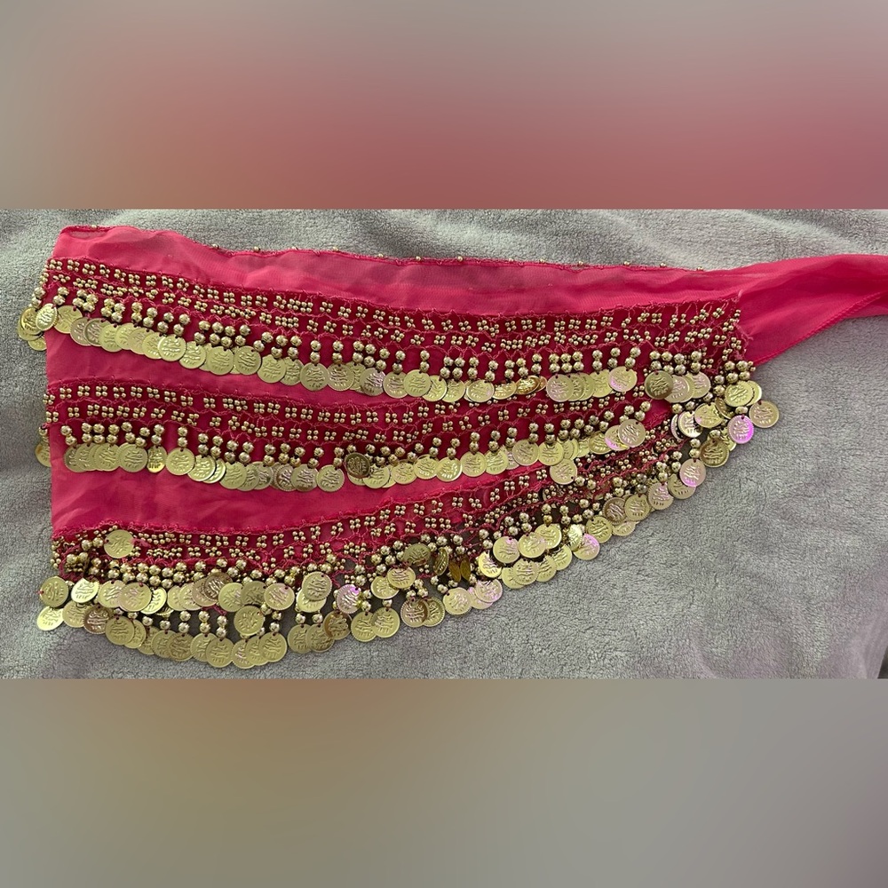 Pink Coin Skirt